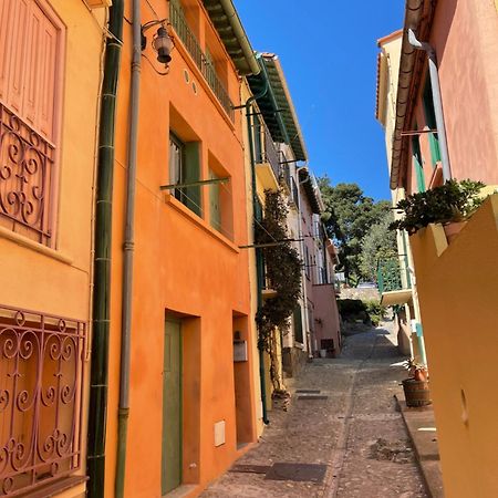 Appartement Dans Le Quartier Recherche Du Moure Collioure Exterior foto